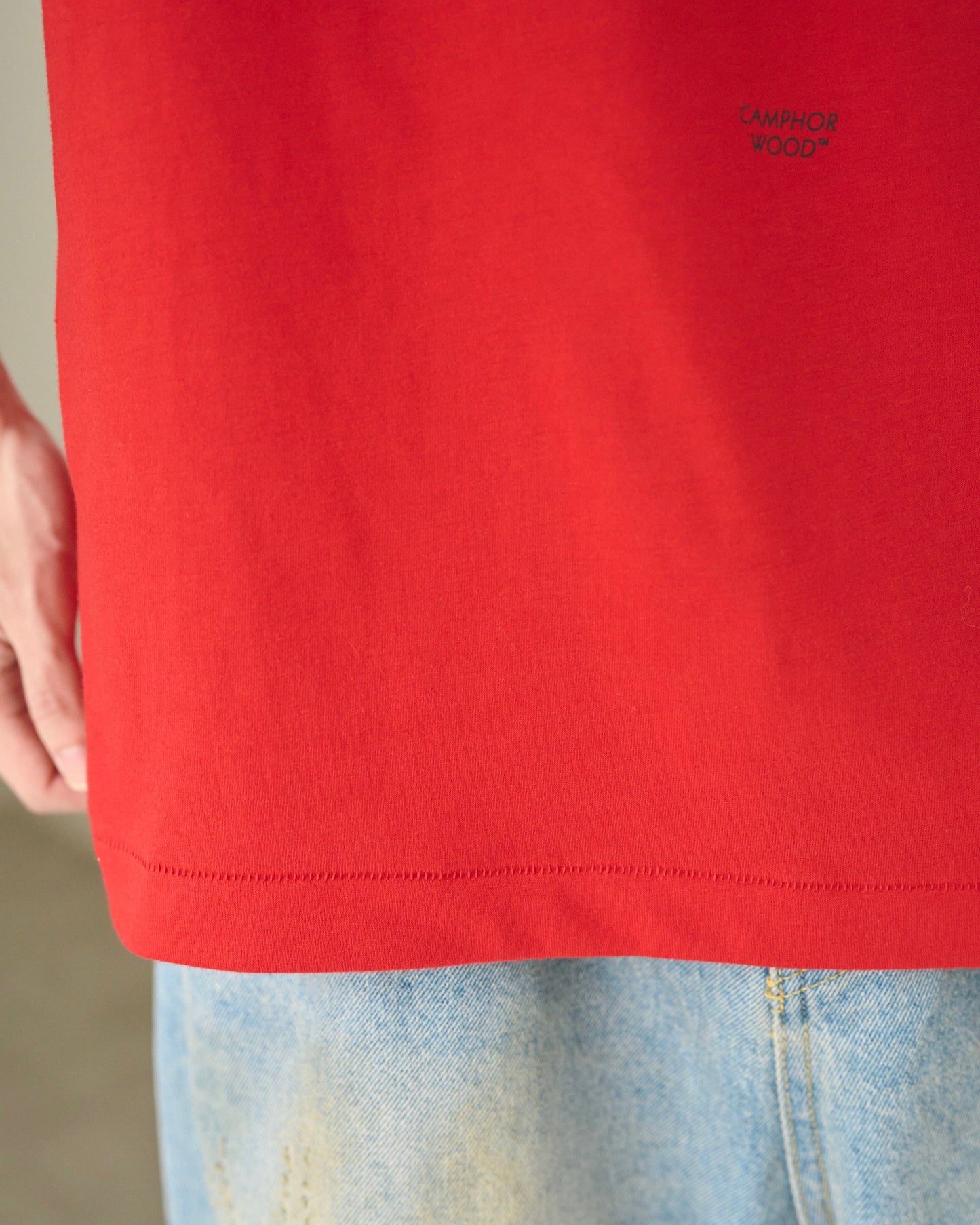 camphor scrawl embroidery tee