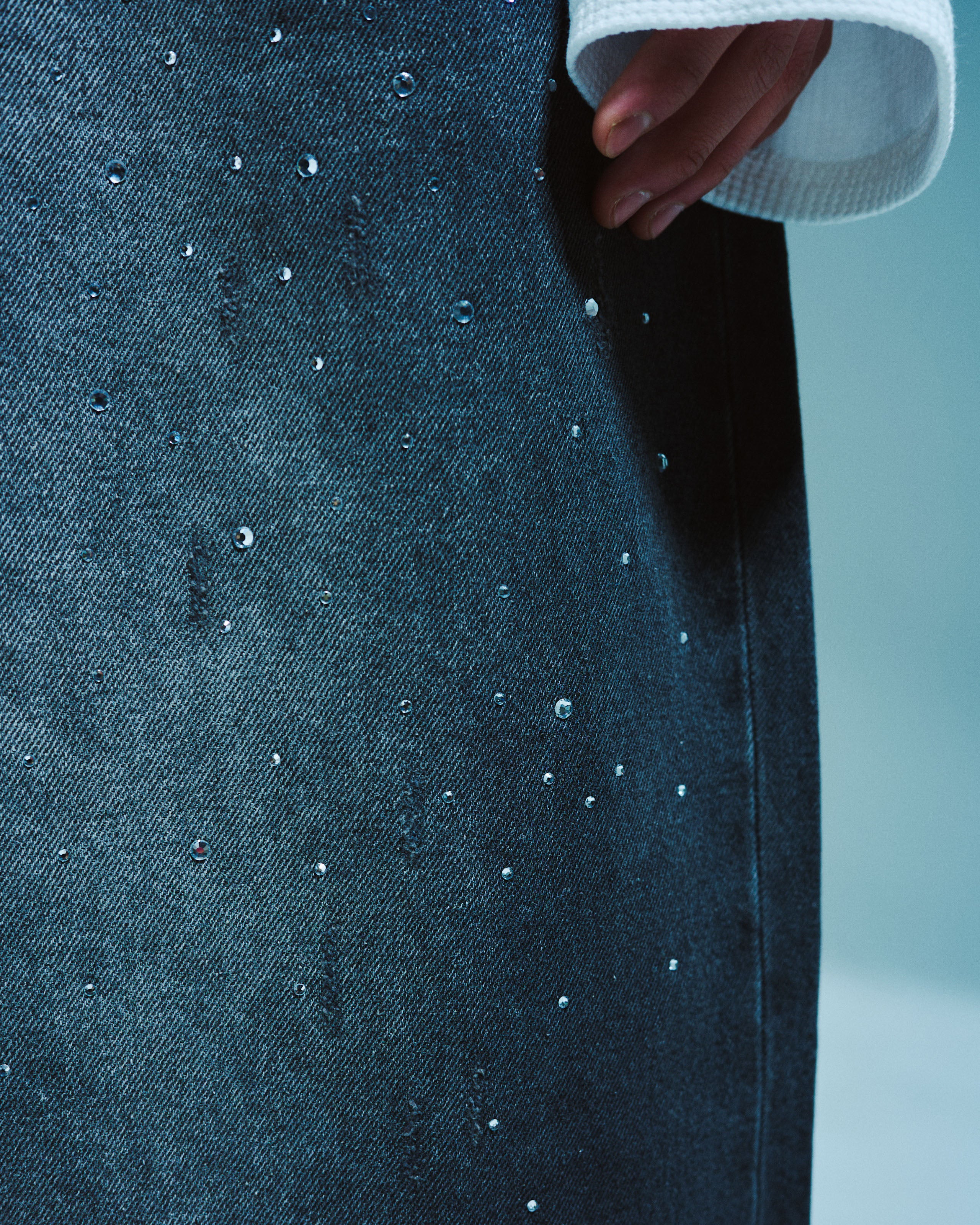 WIDE BAGGY RHINESTONE DENIM – CAMPHOR WOOD - OFFICIAL ONLINE STORE