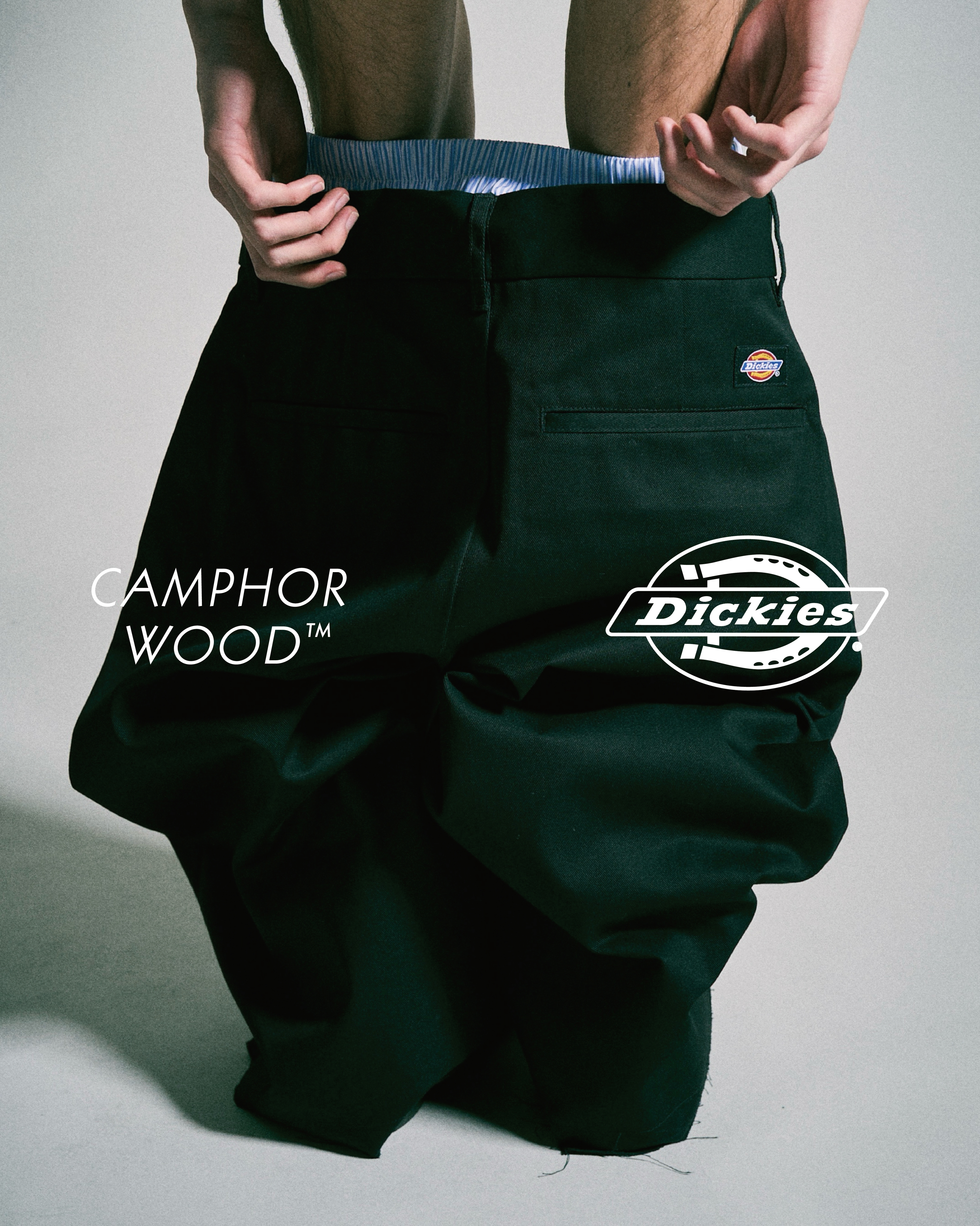 たくむくん着用　camphor wood wood たくむくん着用　camphor